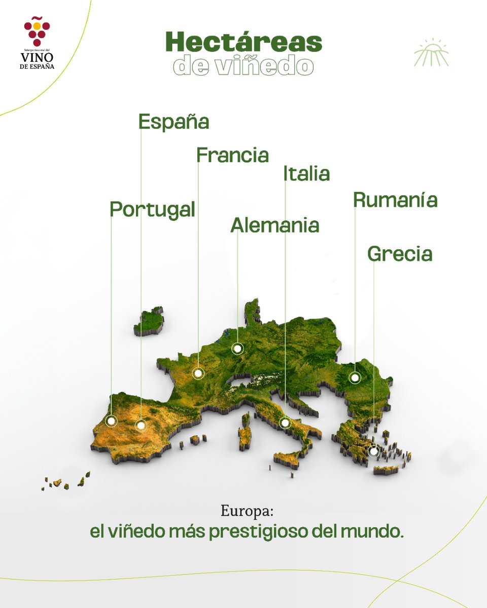 #Europa 🌎 es un gran viñedo de más de 3m. de hectáreas.   Con una tradición #vitivinícola muy arraigada, es el principal continente de esta industria. En el #DíadeEuropa, ponemos en valor nuestra tierra, hogar de algunos de los vinos más reconocidos y apreciados del mundo.👏🍇