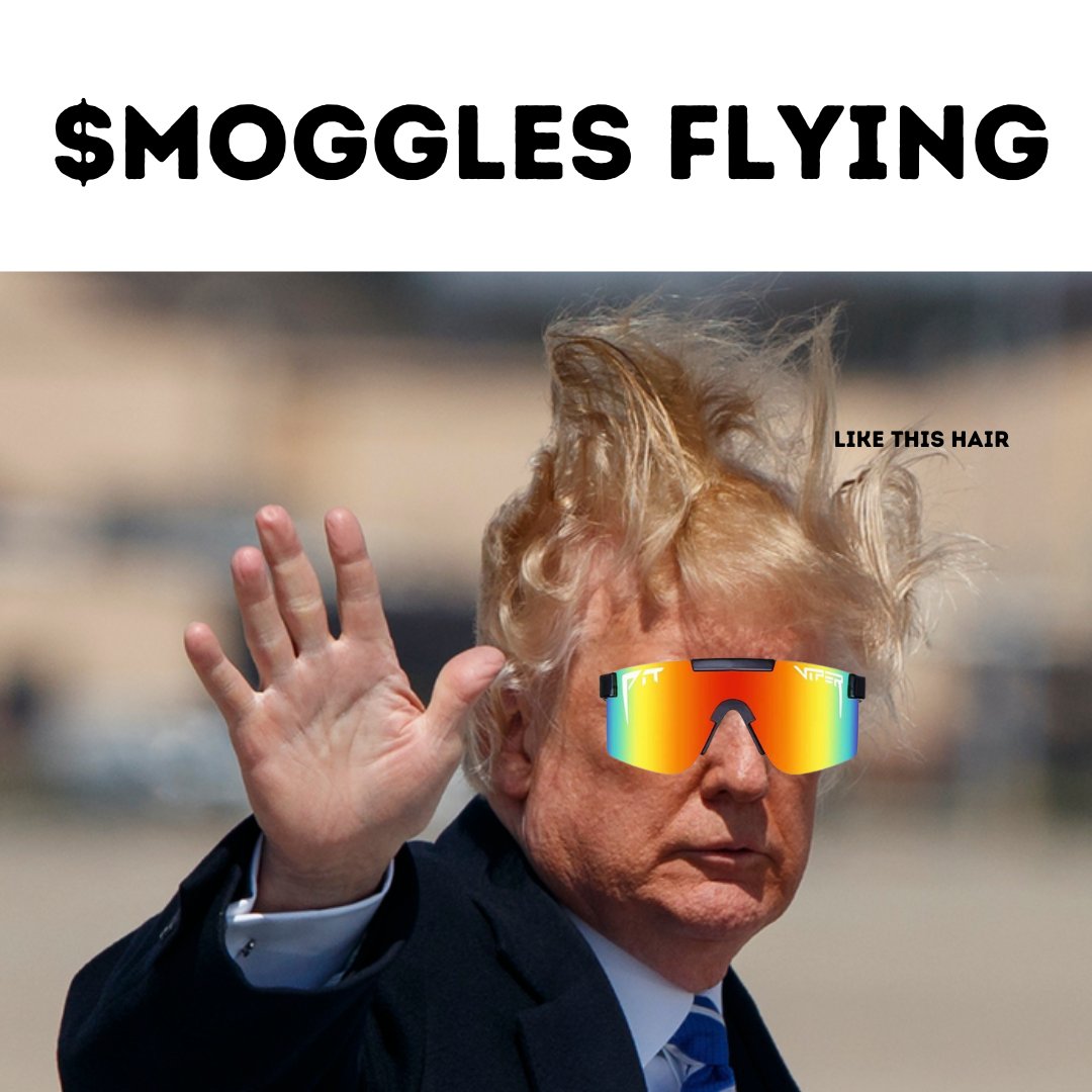 MOGGLES tweet media