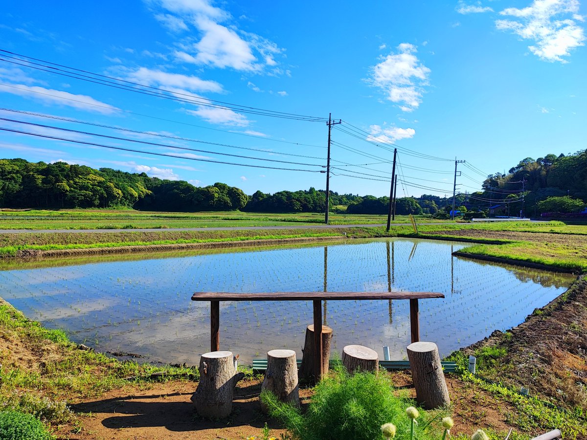 The Scenic Café Space, Showing Its True Colors!

#INASHIKINEST #絶景カフェスペース #ゲストハウス 
#Ibaraki #rural #countryside #Japan