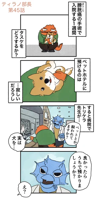 入院中、ワンコの預け先 