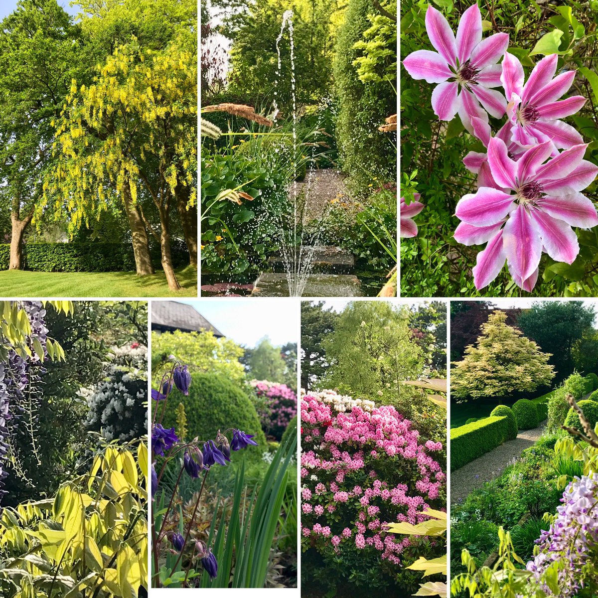 The gardens are open today (Thursdays 10am - 4pm) and the flowers an games are out.  Why not come and have a go and make the most of this lovely sunshine?
