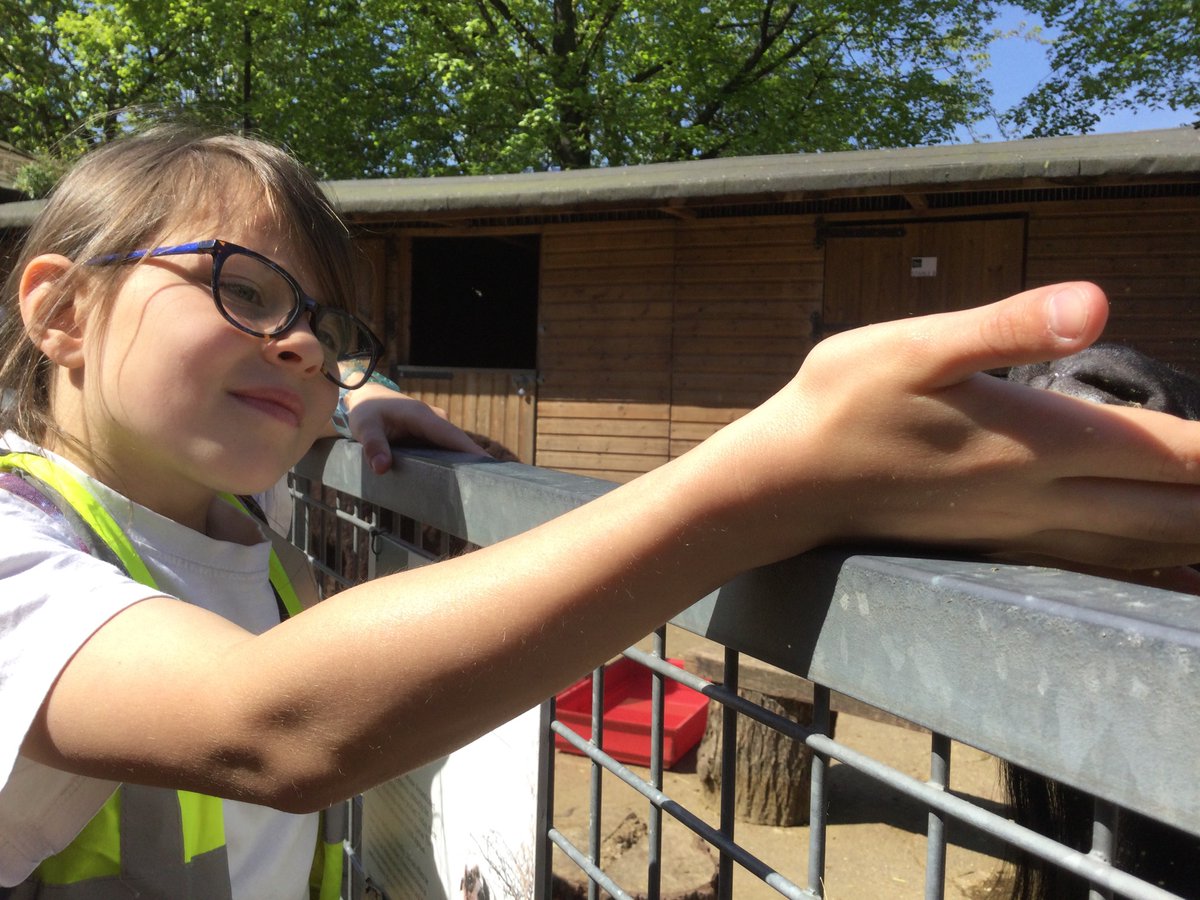 Years 3 and 4 are visiting Vauxhall City Farm over the next few weeks as part of their learning about food and agriculture. 4BC had a brilliant day yesterday.