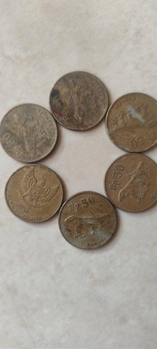 Yg minat komodonya ..