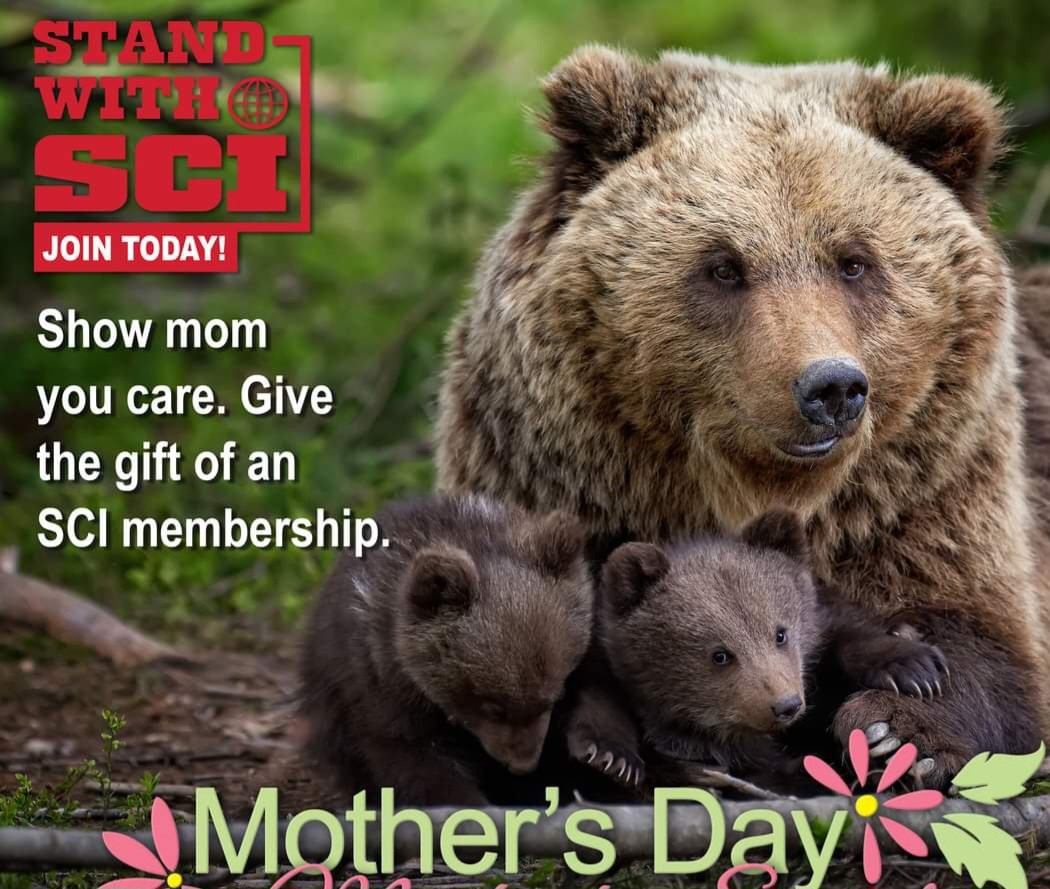 This is how the trophyhunters celebrate mothers' day. These people are so far gone, they don't even see the irony of this advertisement.