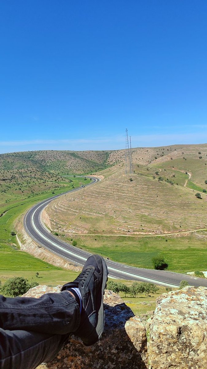 Günaydın 🌼

#Günaydın #getoutofrafah #Eurovision2024