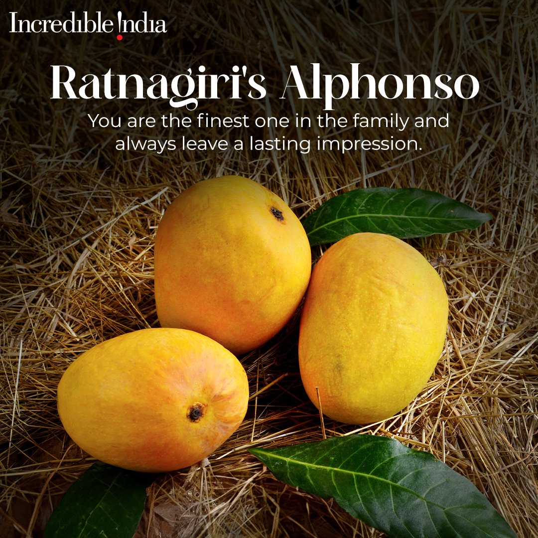 What's the coolest thing about #summers in #India? It's the taste of juicy mangoes, the king of fruits and its scrumptious varieties. Let's find out which variety of mangoes matches your personality. Don't forget to tag your friends and give them a new nickname.

📍#Ratnagiri,