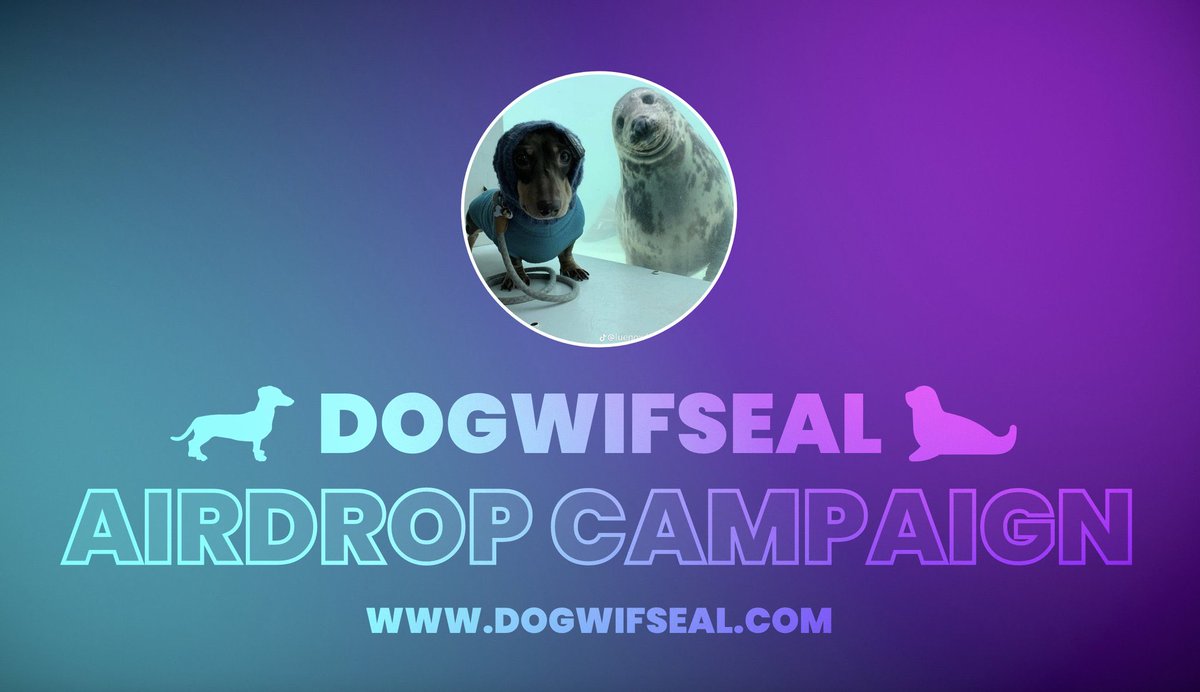 dogwifseal tweet media