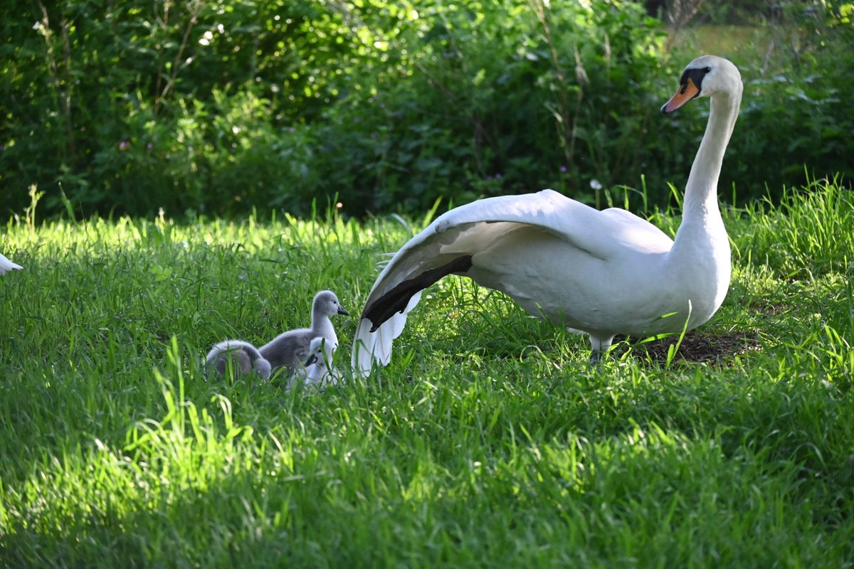 Nothing like an early morning stretch