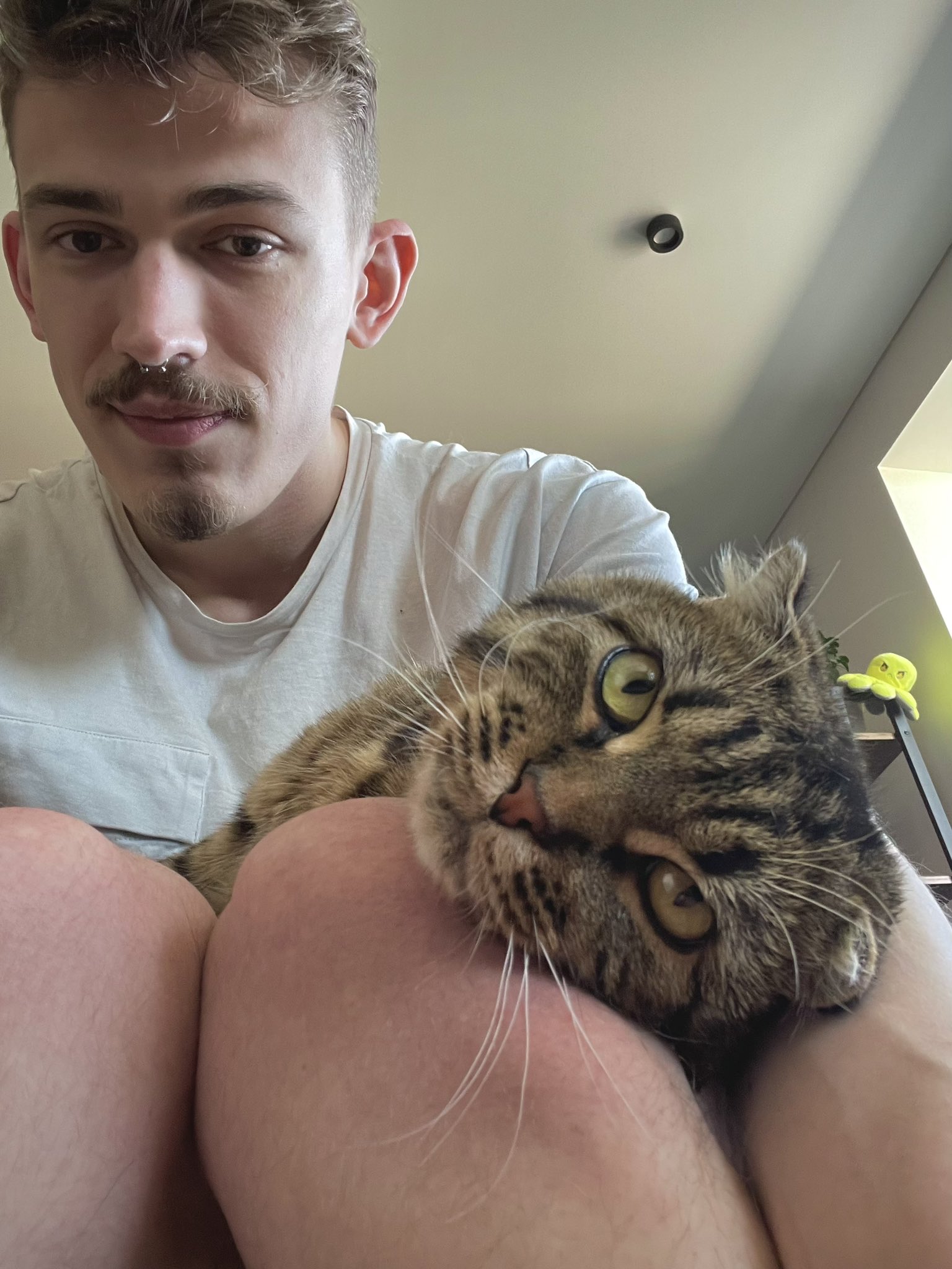 GNHxwOqXoAA2Nds.jpg:large