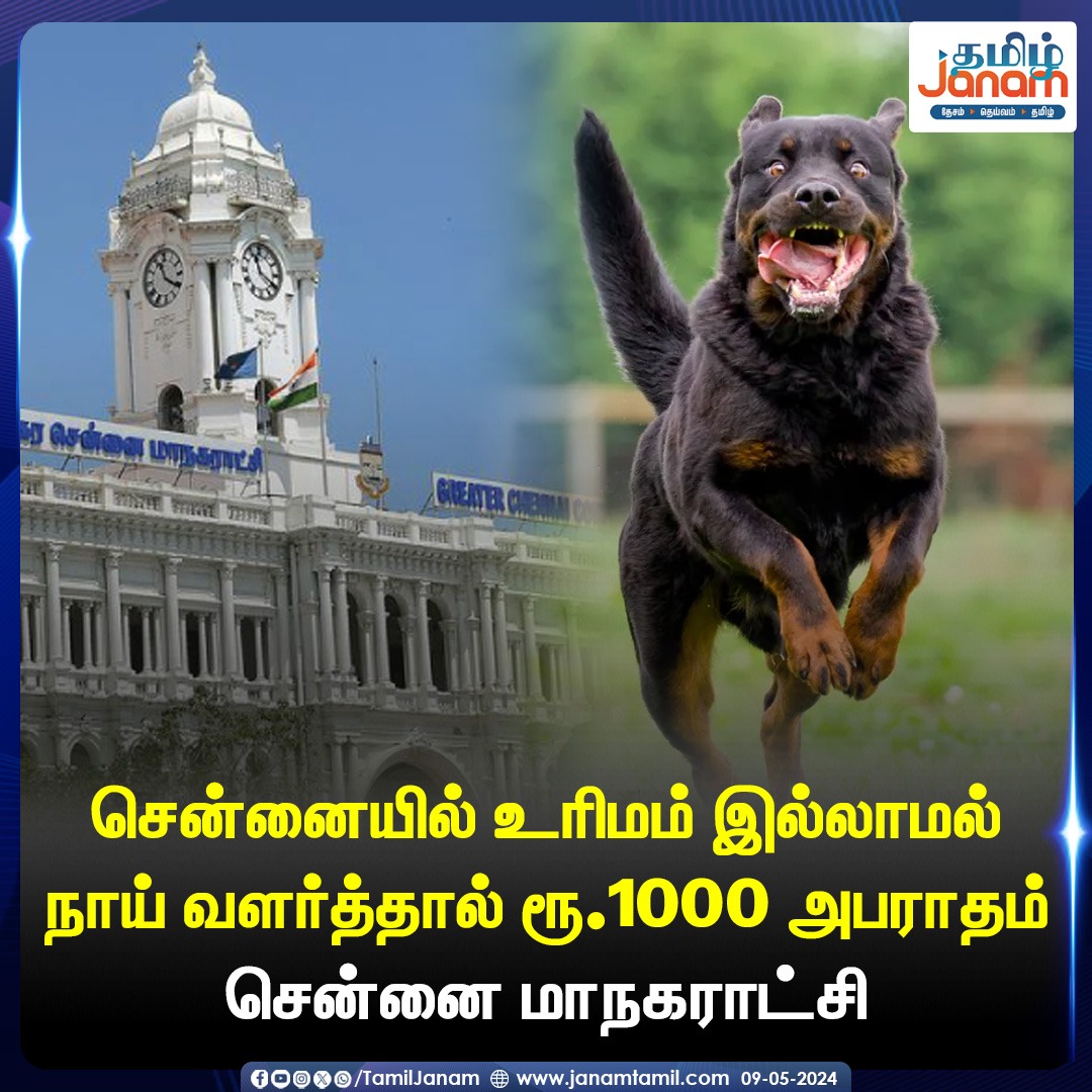 சென்னையில் உரிமம் இல்லாமல்
நாய் வளர்த்தால் ரூ.1000 அபராதம்
சென்னை மாநகராட்சி

#chennai #dog #petcare #fine #ChennaiCorporation #tamiljanam
