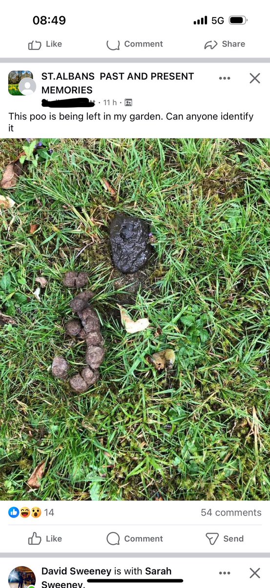 lauraoakley81's tweet image. My new fave post on Facebook 🤣 #PooGate 🕵🏼