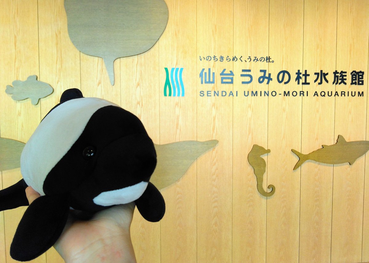 仙台うみの杜水族館公式 on X: 仙台うみの杜水族館公式 on X: