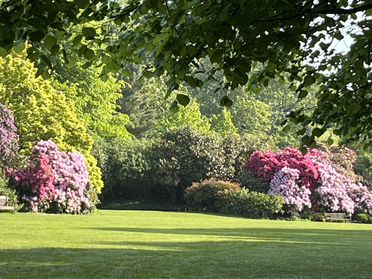 If you go to Kenwood even just once a year, now is the time to do it. <a href="/HandHSocHeath/">Heath & Hampstead</a> <a href="/CityCorpHeath/">Hampstead Heath</a>