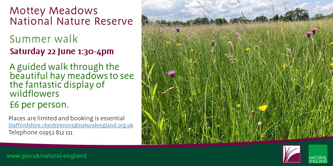 The fritillaries are starting to go to seed at Mottey Meadows NNR and the grasses and wildflowers are growing very quickly. Book on to our guided walk to see them in all their glory. Saturday 22nd June. eventbrite.com/e/mottey-meado… @Floodplainmead @allaboutnewport @StaffsWildlife