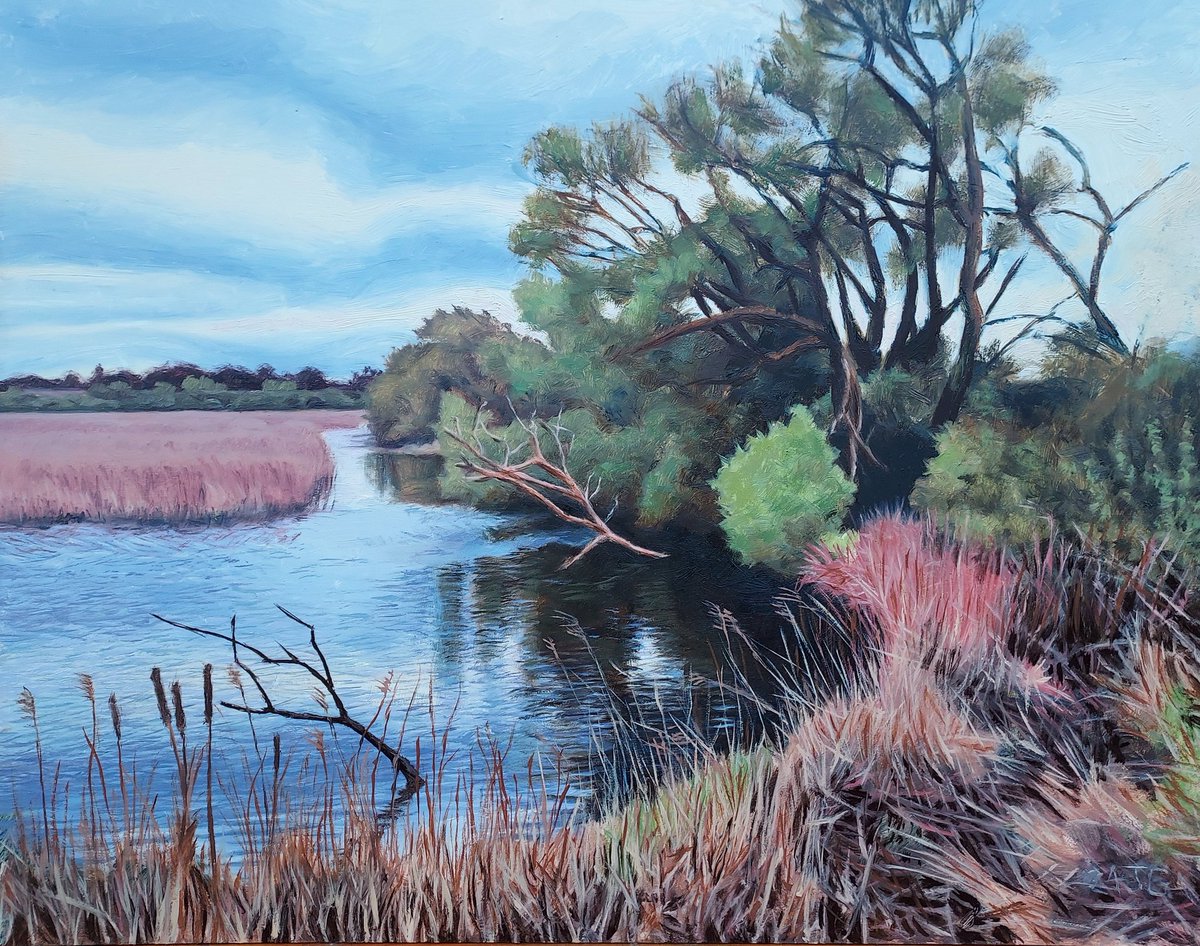 Studio painting of Stodmarsh national nature reserve, situated in the Stour valley in North Kent. I love wild places like this. Oil on primed panel, 27 x 35 cm. #stodmarshnationalnaturereserve #stodmarsh #kent #studiopainting #landscapeoilpainting #oilpainter #artist #artwork