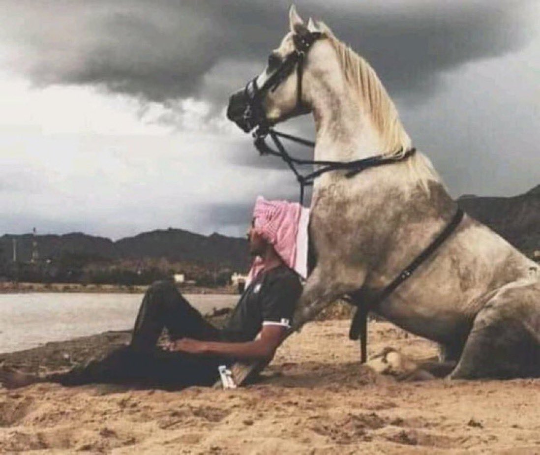 #نجران_الان
صوره لأحد فرسان #نجران
تبين إرتباطهم بالخيل والفروسيه .