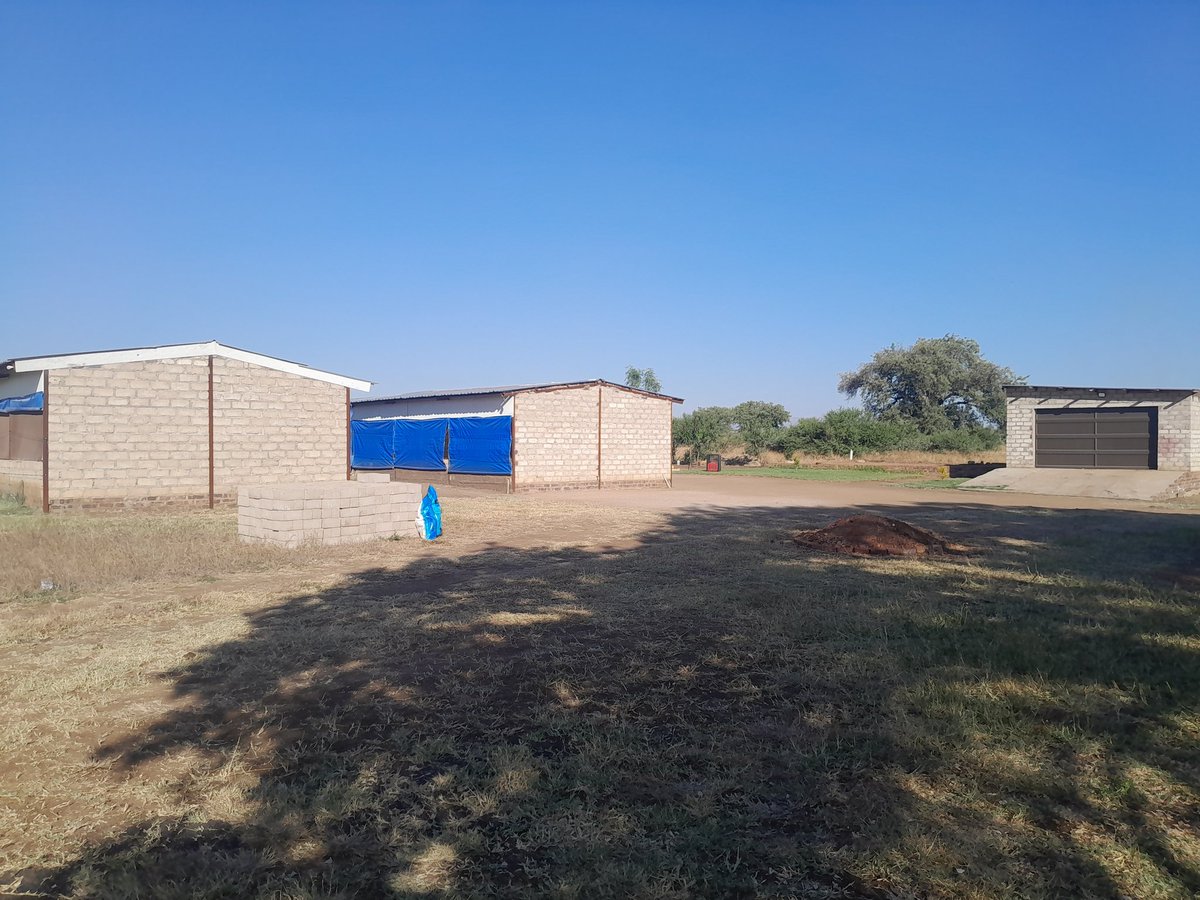 Tsogang3's tweet photo. I'm in Mokopane with Mr Rola 🤣 the man is consistent. I don't remember coming here and not finding chickens in these houses for so many years. 🤣  the man is focused 🕺🏿 https://t.co/0KAS25pw30