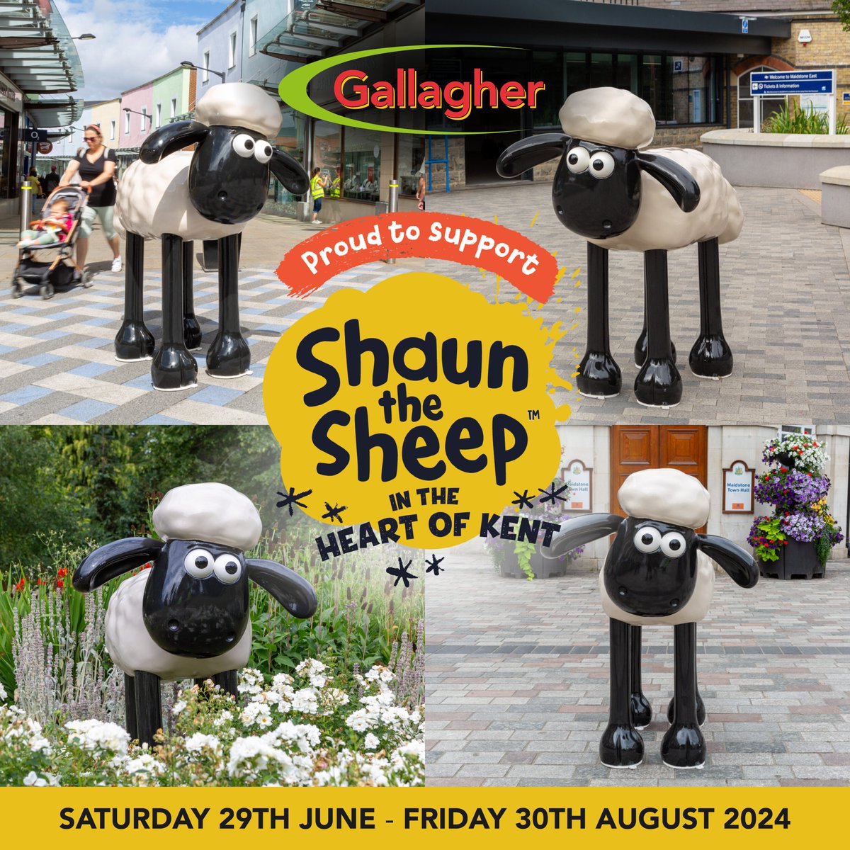 Shaun In The Heart of Kent Trail is coming to Maidstone, featuring up to 50 Shaun the Sheep sculptures created by local and national artists, and we are proud partners. Join us from 29 Jun to 30 Aug 2024 for this celebration of art and community spirit! 🎨🐑 #ShaunHeartKent