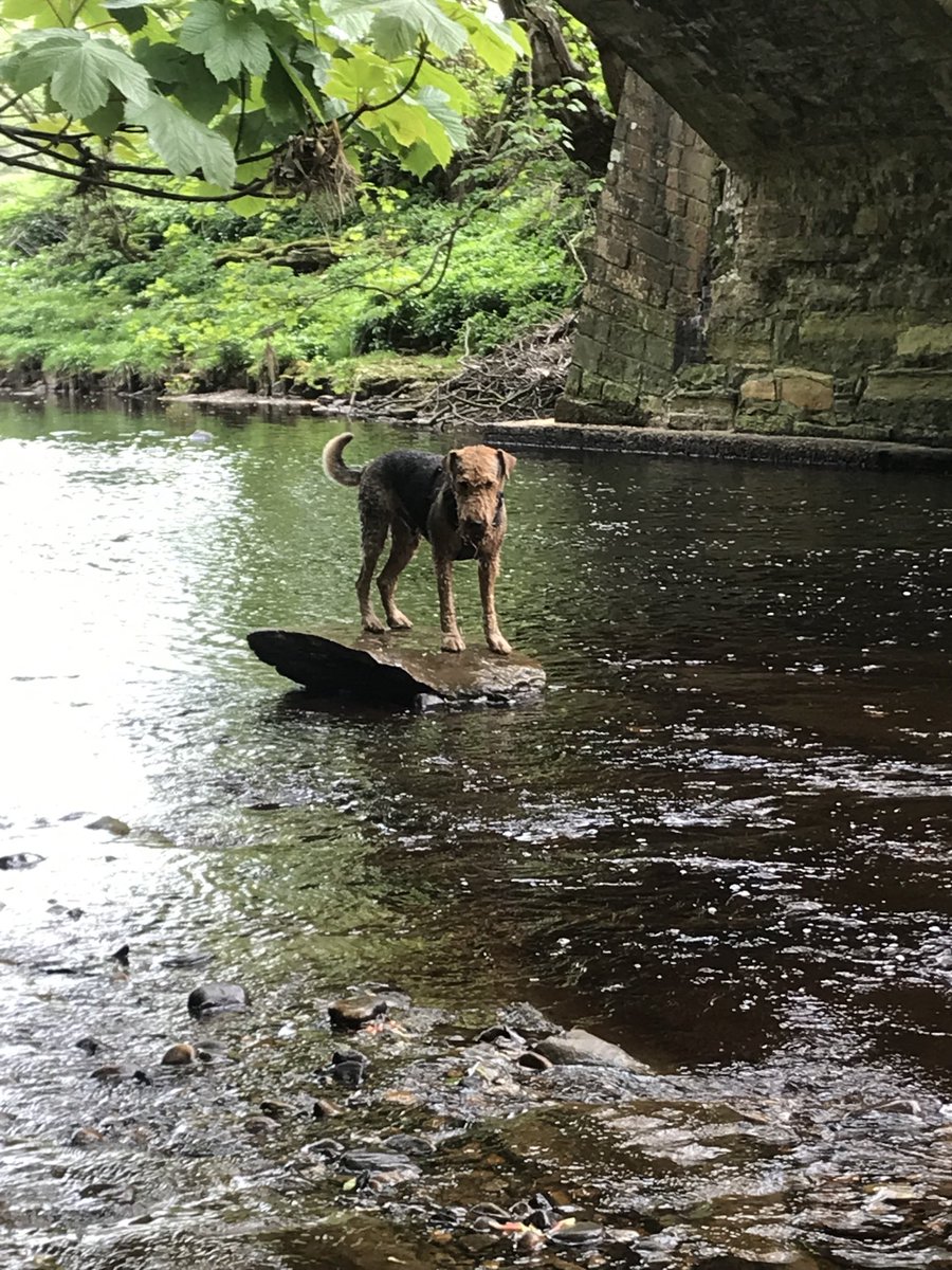 Enjoying a paddle in the river