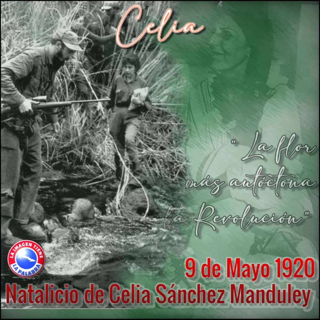 #CeliaVive fue ejemplo de humanismo y firmeza revolucionaria. Se convirtió en la primera mujer en incorporarse a la Sierra como una combatiente más, y su labor de enlace con el llano fue de suma importancia para los guerrilleros. #PalmaSoriano #CubaViveEnSuHistoria