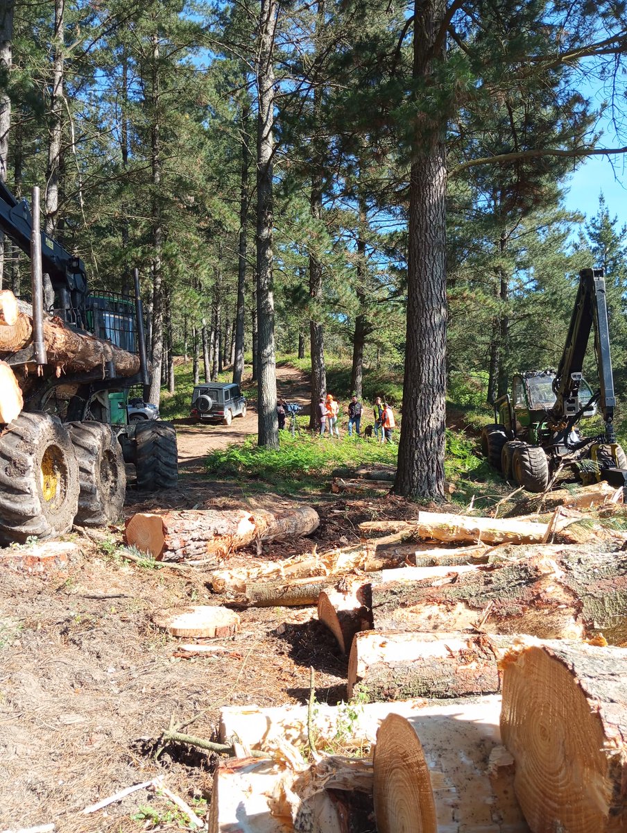 Sustraia, el programa líder sobre la actualidad del primer sector en Euskadi, se ha acercado hasta Gordexola para conocer la labor de las empresas de aprovechamiento y trabajos forestales como Olmos Forestal o @guiforforestal , distribuidora de maquinaria nueva y usada.