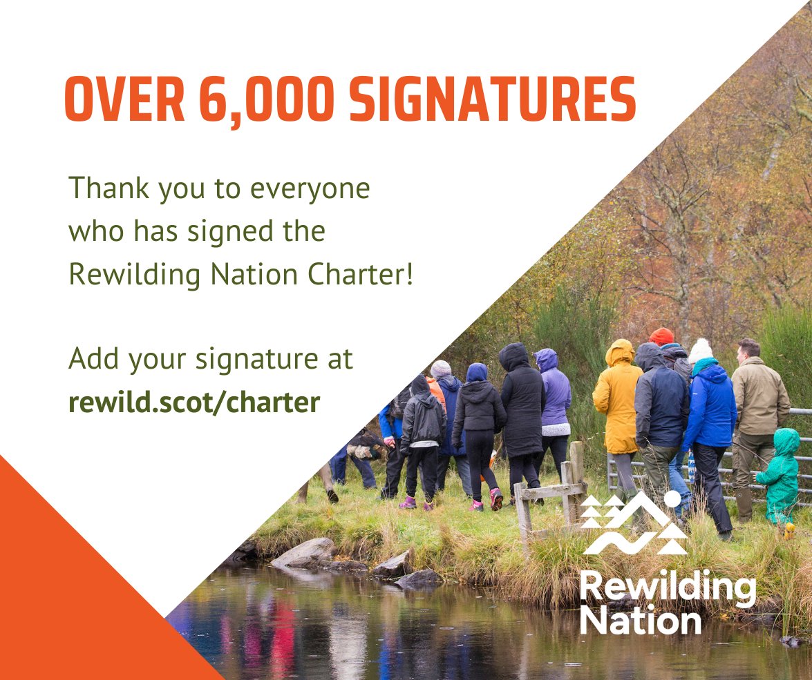 Our voices are getting louder. Will ScotGov hear our call? 📢 Join over 6,000 individuals and organisations who are calling for Scotland to be declared the world's first #RewildingNation, committing 30% of Scotland's land and seas to nature restoration. rewild.scot/charter