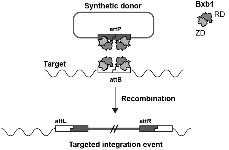 Friedrich Fauser tweet media