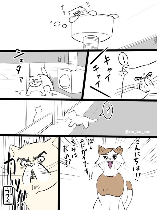 エドガイとの邂逅エキゾ島 