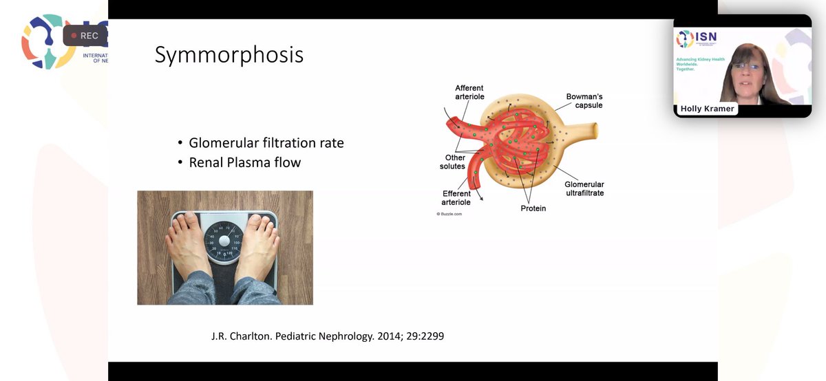 Obesity causes increase in the intraglomerular pressure and it is the major mechamism for Obesity Induced CKD #ISNwebinar @kramer_holly Moderator @myadla