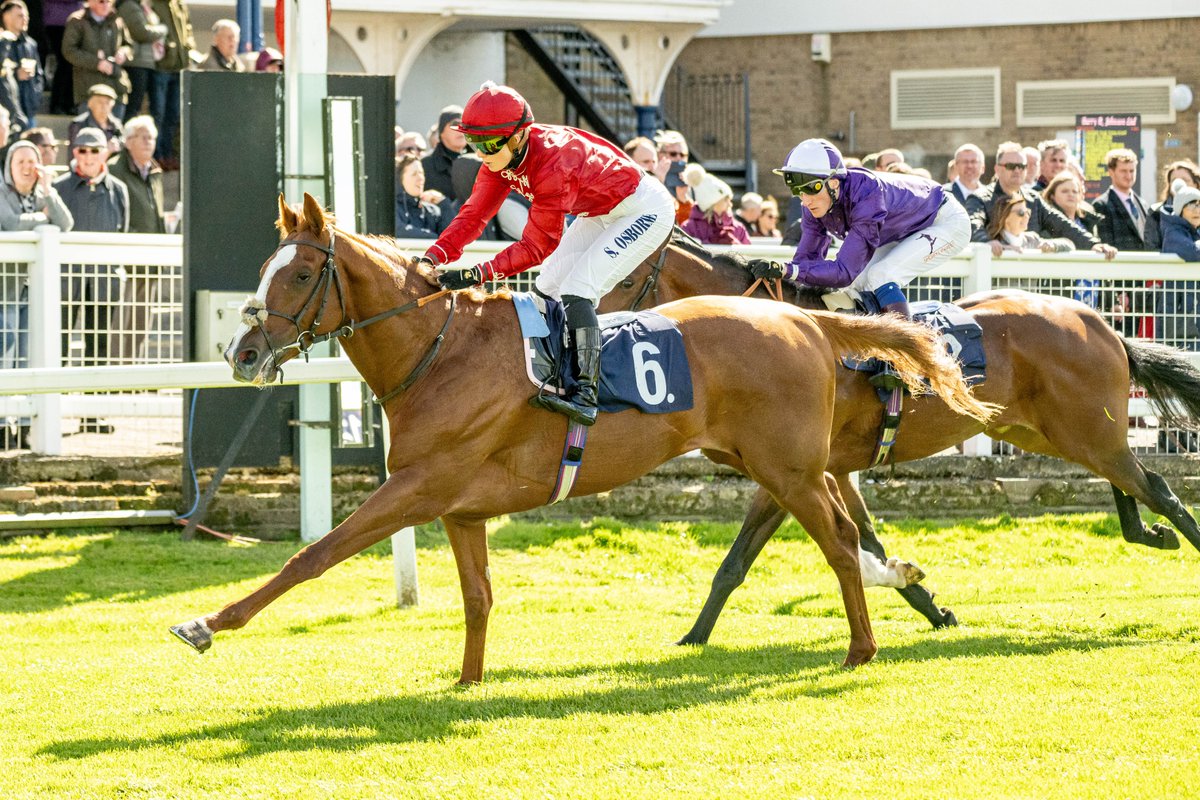 Best of luck to Harper's Ferry @OsborneSaffie @edwalkerracing M H Dixon & J L Roswell who ride in @ChesterRaces Listed Dee Stakes today. Harper's Ferry won our 1m2f Novice Stakes at our Season Opener in April.