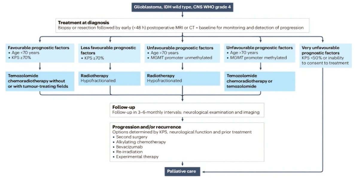 An excellent review on gliomas👇 @OncoAlert nature.com/articles/s4157…