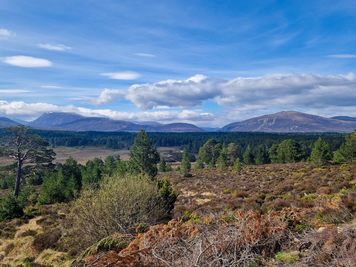 What an incredible day and an incredibly inspiring view.😍

This special area is one of our favourite parts of the catchment and shows the huge impact that land management decisions can have on the size and rate of nature recovery. Inspiring. ☺️

#speycatchment #naturerecovery