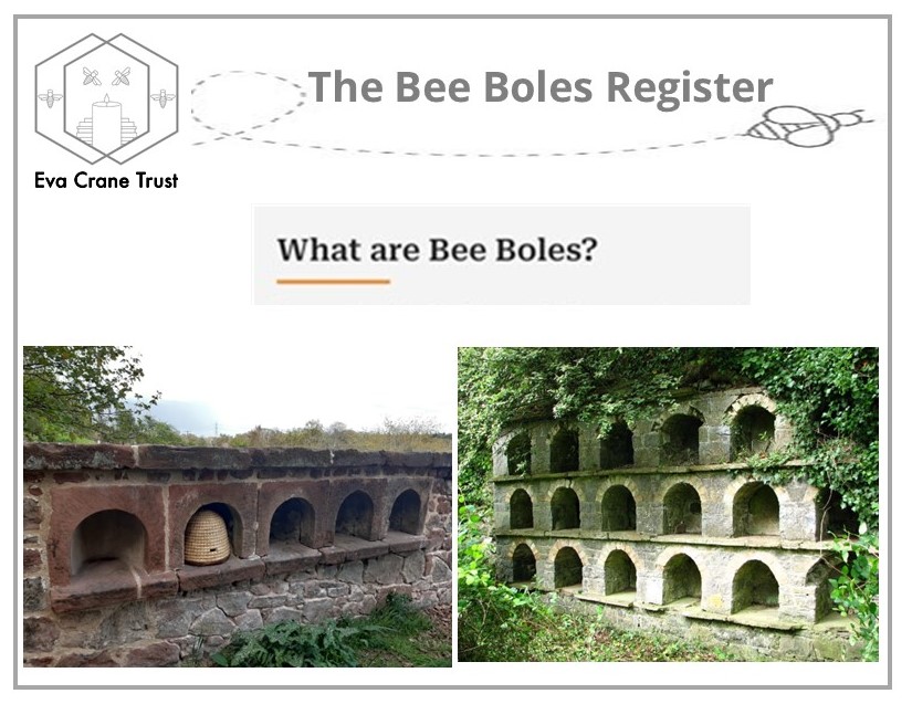 A fascinating part of beekeeping history. Coming Soon - our new website aims to provide a wealth of information on bee boles and other beekeeping structures that were used in the past to provide shelter for skeps of honey bees. #beekeeping #BeeHistory #BeeBoles
