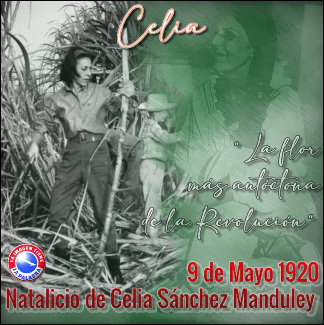 Celia Sánchez, la flor más autóctona de la Revolución. #CubaViveEnSuHistoria #CubaMined #PinardelRío #CeliaVive