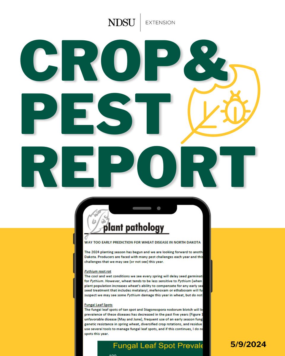 NDSU Extension (@ndsuextension) on Twitter photo In this week's edition👉ndsu.ag/croppest24
-Way too Early Prediction for Wheat Dz in ND <a href="/NDSUcerealpath/">Andrew Friskop</a>
-Genetic Tests Provide Rapid Confirm of Herbicide Resistant #Kochia & Pigweed <a href="/NDSUWeeds/">Joe Ikley</a>
- Weather summary and outlook <a href="/DarylRitchison/">Daryl Ritchison</a> and <a href="/NDAWNmesonet/">NDAWN</a> In this week's edition👉ndsu.ag/croppest24
-Way too Early Prediction for Wheat Dz in ND <a href="/NDSUcerealpath/">Andrew Friskop</a>
-Genetic Tests Provide Rapid Confirm of Herbicide Resistant #Kochia & Pigweed <a href="/NDSUWeeds/">Joe Ikley</a>
- Weather summary and outlook <a href="/DarylRitchison/">Daryl Ritchison</a> and <a href="/NDAWNmesonet/">NDAWN</a>