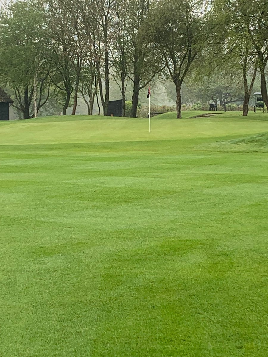 Course Manager <a href="/KingswoodGC/">Kingswood Golf and Country Club</a> is very pleased with his fairways after applying Humik Sport 14-5-18 #greenkeeping #turf .