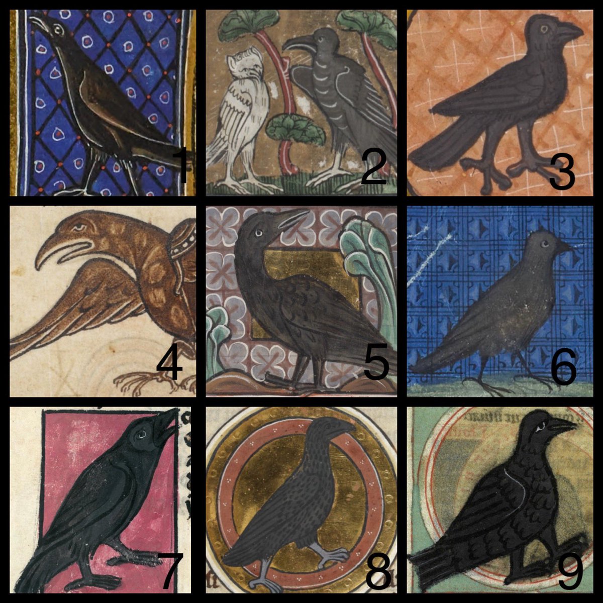 Which medieval crow are you today?