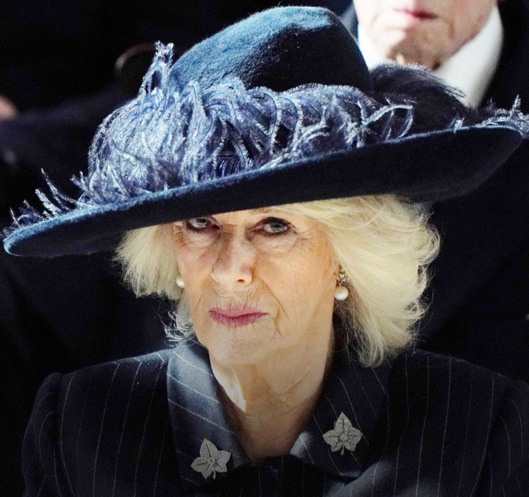 It wasn't love that brought Camilla Parker Bowles to the Royal Family. It was greed and personal ambition. If she loved Charles she would not have driven a wedge between Charles and his sons. She doesn't bring people together. She tore apart the monarchy for self-aggrandisement.