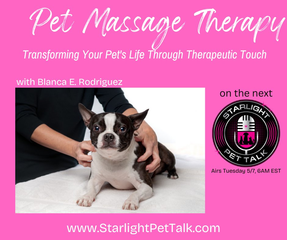 🎙️ New on #StarlightPetTalk: Explore the art of canine massage with Amy Castro & expert Blanca Rodriguez! 🐾 Discover the history, techniques, and success stories of pet massage. Enhance your dog's quality of life through healing touch. 🐶💆‍♂️ Tune in wherever you get your favorite