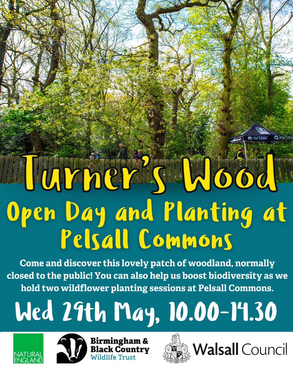 Come and visit our Turner's Wood nature reserve, a hidden gem in Walsall normally closed to the public, on 29th May! And if you'd like to help us boost biodiversity, you can also join us to plant wildflowers at the nearby Pelsall Commons! Find out more: bbcwildlife.org.uk/events/2024-05…