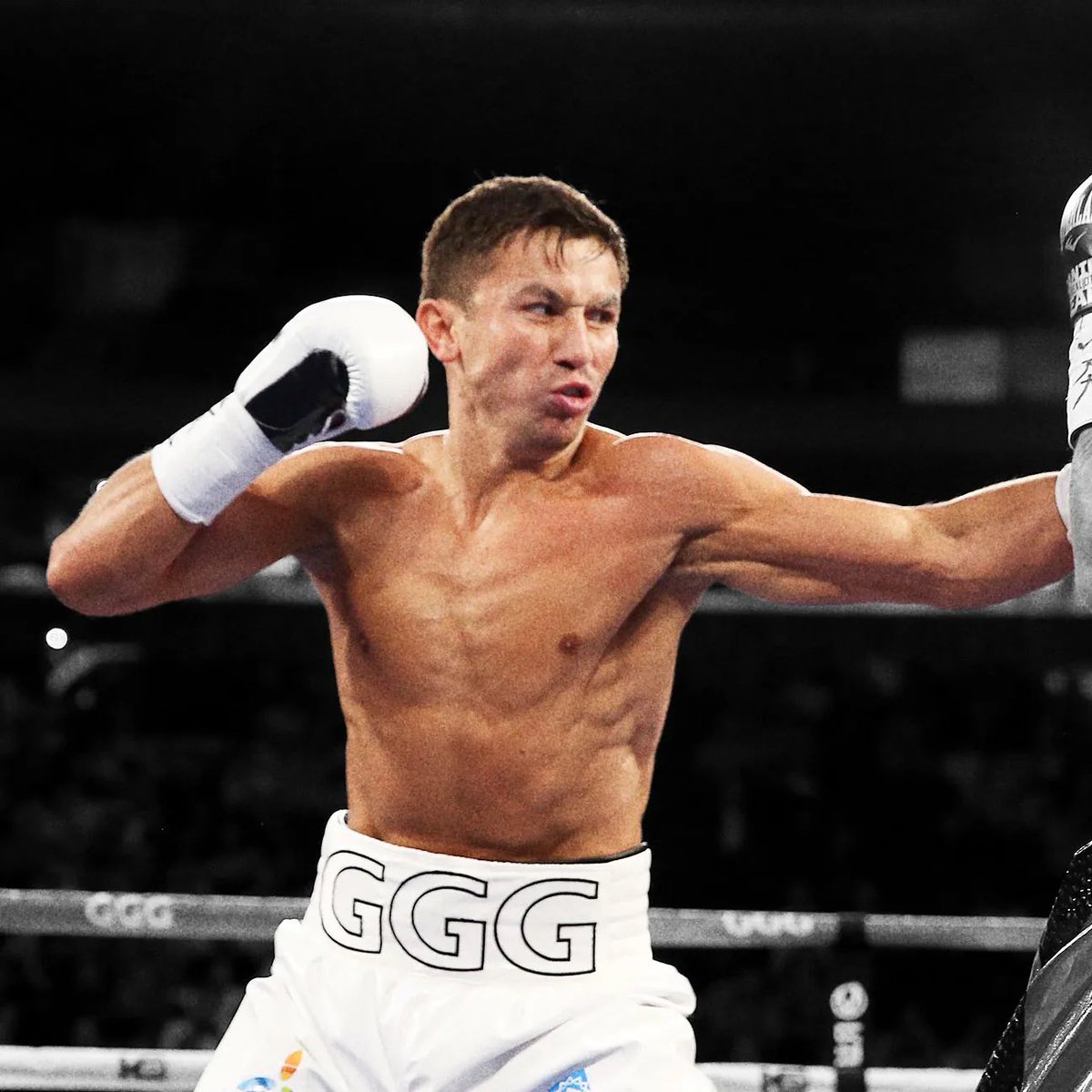 LeSparring's tweet photo. 10 des meilleurs KO de Gennady « GGG » Golovkin en vidéo 🇰🇿✨

1m78
45 combats
42 victoires dont 37 par KO

Un menton en vibranium, l’homme le plus dur de ce sport, tout simplement GGG 🤴🏼 https://t.co/mQJsWbhsUJ