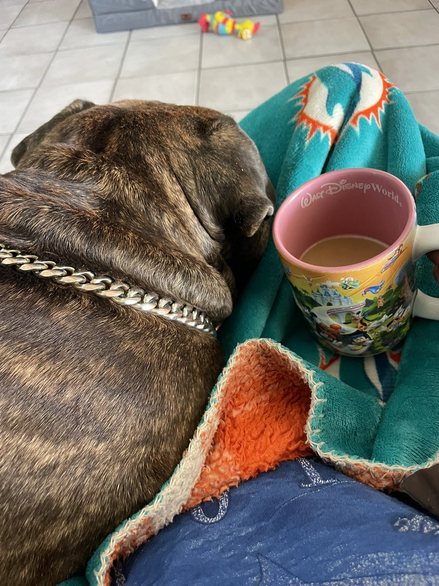 Good morning. Today’s cuppa with my attentive puppa. Happy to report my fever has broke. Feeling a bit better this morning. Thank you all for your well wishes. They’re working.