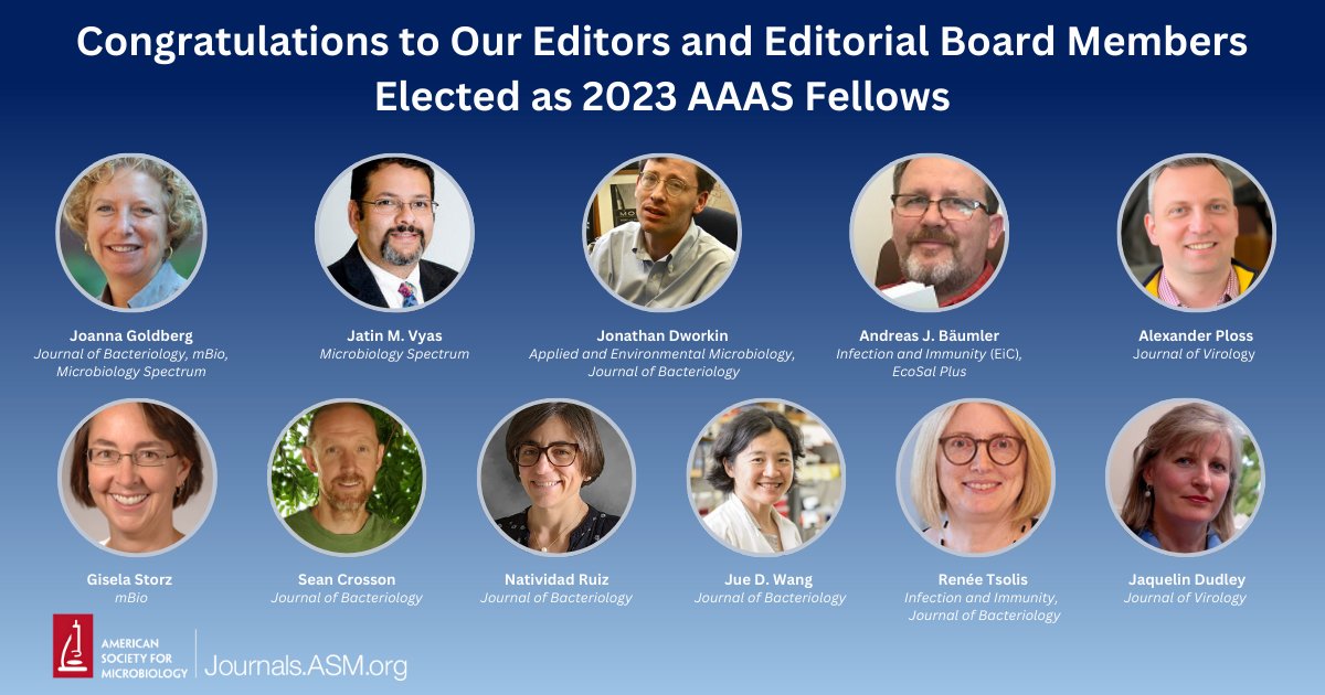 🎉Congratulations to ASM Journals editors & editorial board members elected as 2023 @AAAS Fellows! 🌟 ASM is proud to recognize their outstanding contributions to microbial sciences. Read more: asm.social/1R7