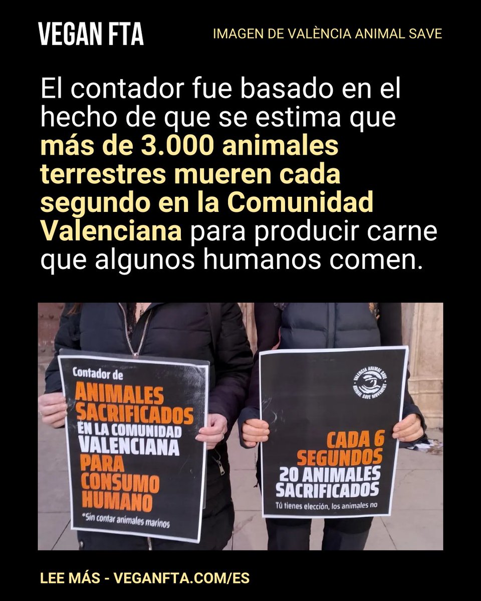 El contador fue basado en el hecho de que se estima que más de 3.000 animales terrestres mueren cada segundo en la Comunidad Valenciana para producir carne.

👉 bit.ly/veganftavs⁠
⁠
#valència #activismo #derechosanimales #comunidadvegana #activists