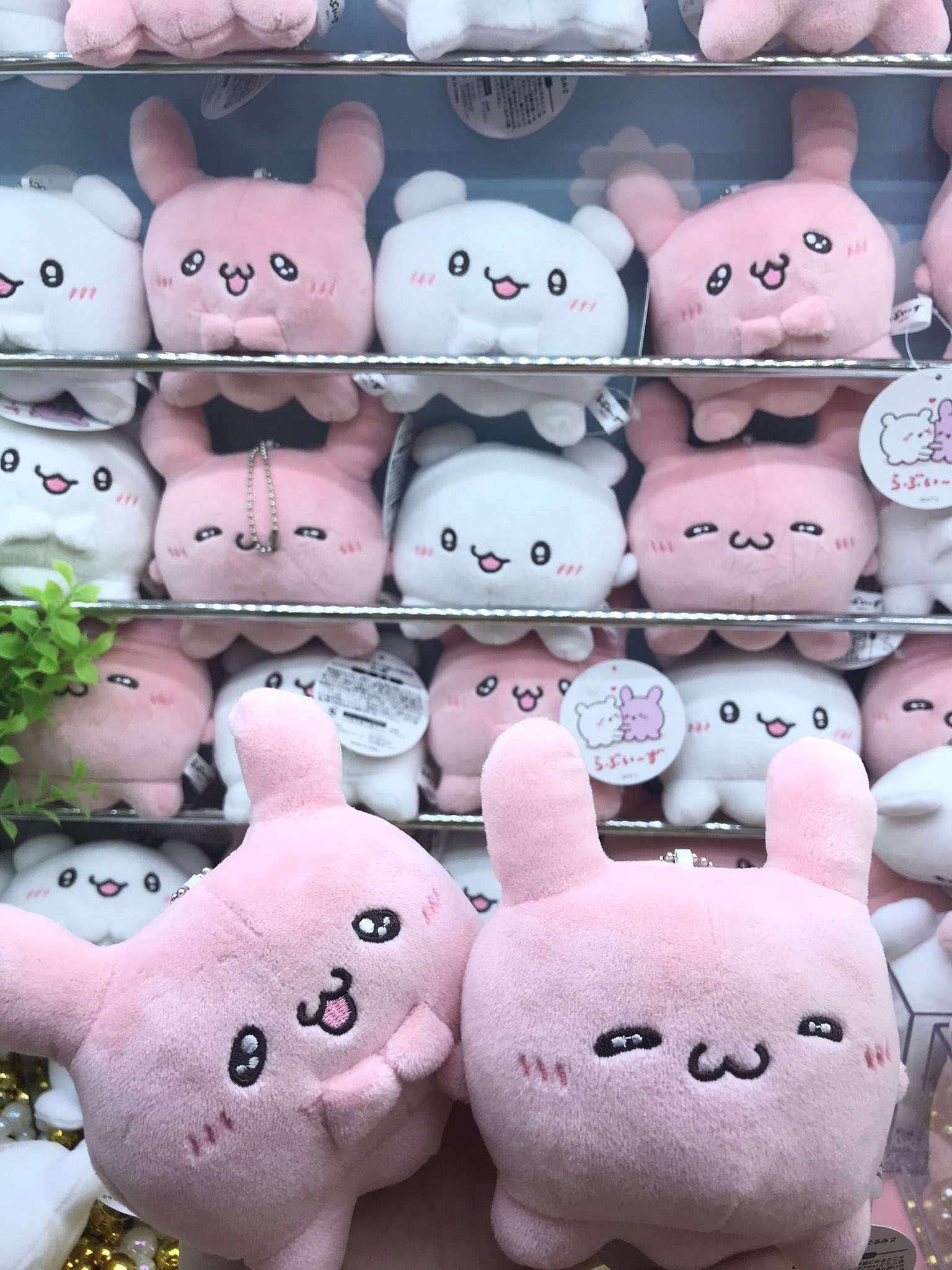らぶいーず　ちゃいなすたいる　1ロット らぶいーずグッズ情報 on X: 