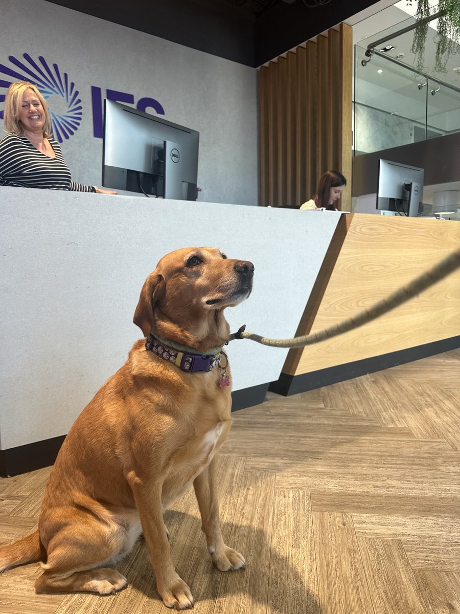 Yesterday, the Staines office dressed up in true #TeamPurple style to raise money for the #IFSFoundation (our intern Leo is confident his jumper is purple)!💜 Donate to Cathie, Stephen and Freja's marathon fundraiser for the IFS Foundation 🏃: ifs.link/bYtg1E