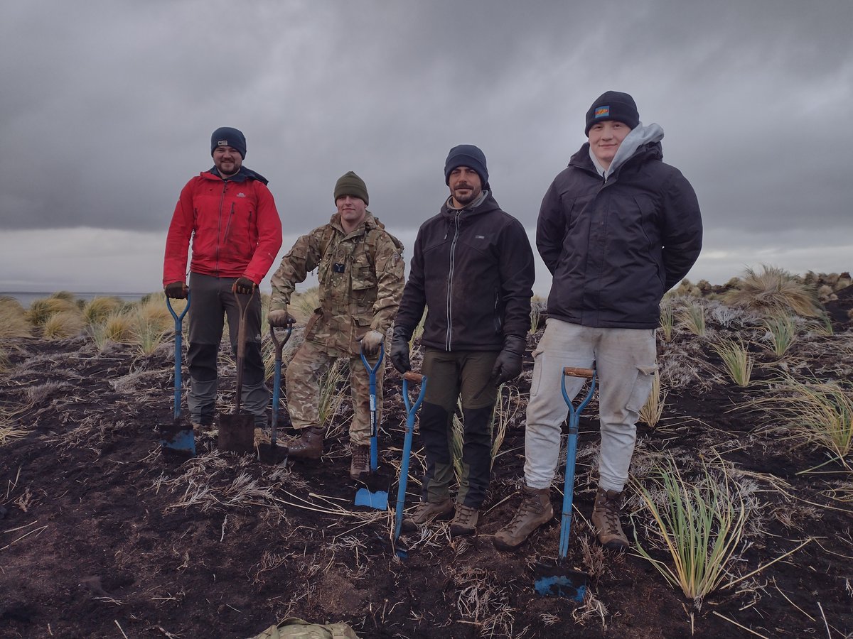 Volunteers from #TeamBFSAI were out this weekend facing all the elements supporting <a href="/FI_Conservation/">Falklands Conservation</a>  planting Tussac Grass on Middle Island in Choiseul Sound. The project, which we've supported every year since 2020, aims to restore 20 hectares of eroded peat on the Island 🌾🇫🇰