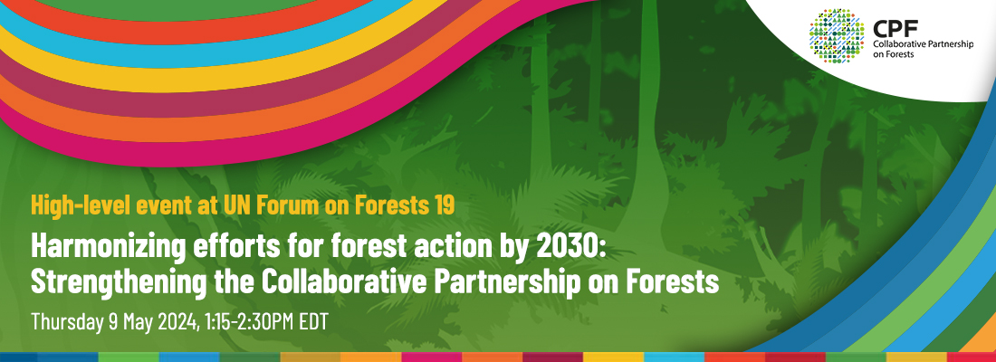 Líderes en #conservación de #bosques discutirán sobre cómo fortalecer la acción #forestal de manera sinérgica y sobre los avances y estrategias para alcanzar los #GlobalForestGoals para 2030 🌳🌎 📅 9 de mayo de 2024 🕒 1:15-2:30 pm EDT 📺 fao.org/collaborative-… #UNFF19 🌳