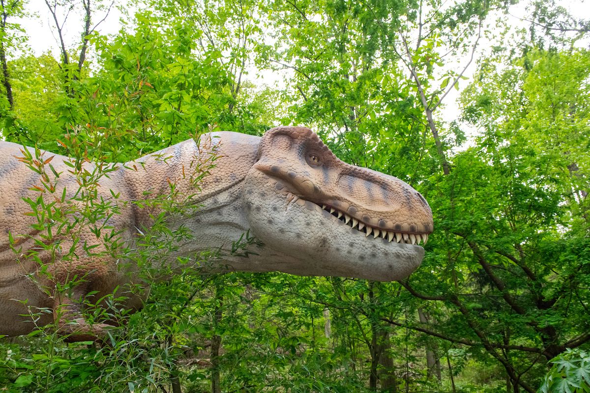 The #Dino Cove experience is now open at Cleveland Metroparks Zoo! buff.ly/4aaPDAz 🦖