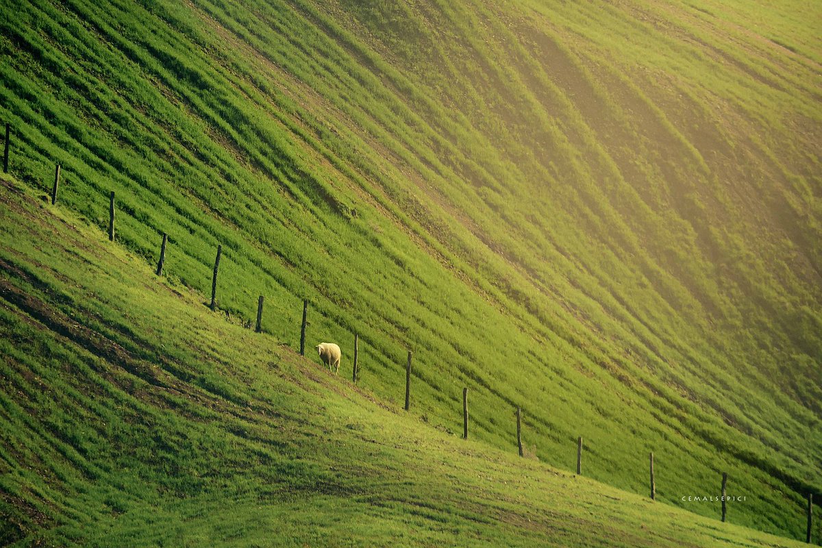 Hayatıma istikamet veren hudutlar beni tehdit ediyor #PHOTOS #artphoto #capture #cmlspc #cemalsepici #BİGA #biga #ELMALI #elmalıköyü #köy #vilage #natural #NatureBeautiful #landscape #landscapephotography #NatureBeauty #naturelovers #NaturePhotograhpy